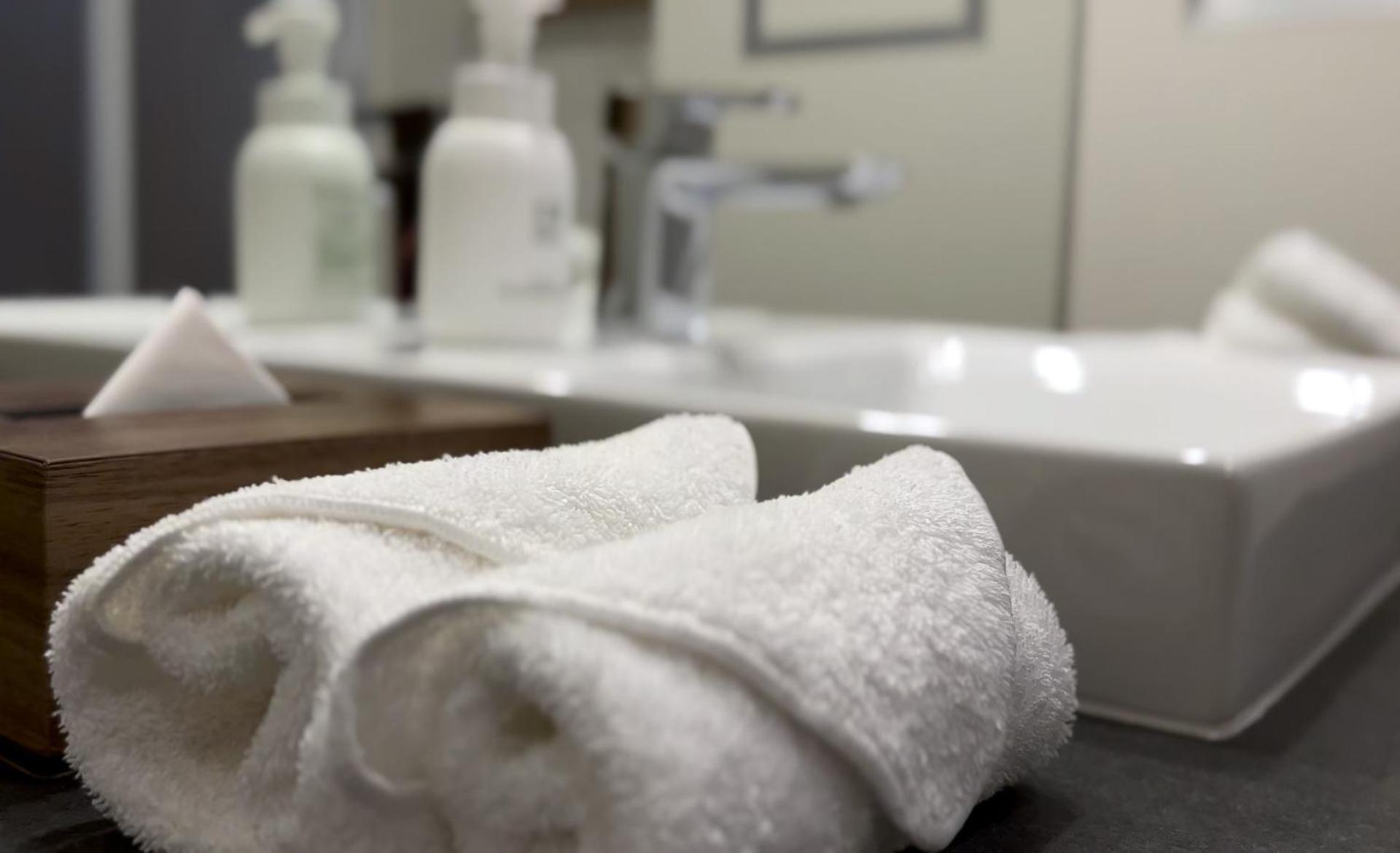 Prostyle Ryokan Tokyo Asakusa Dış mekan fotoğraf